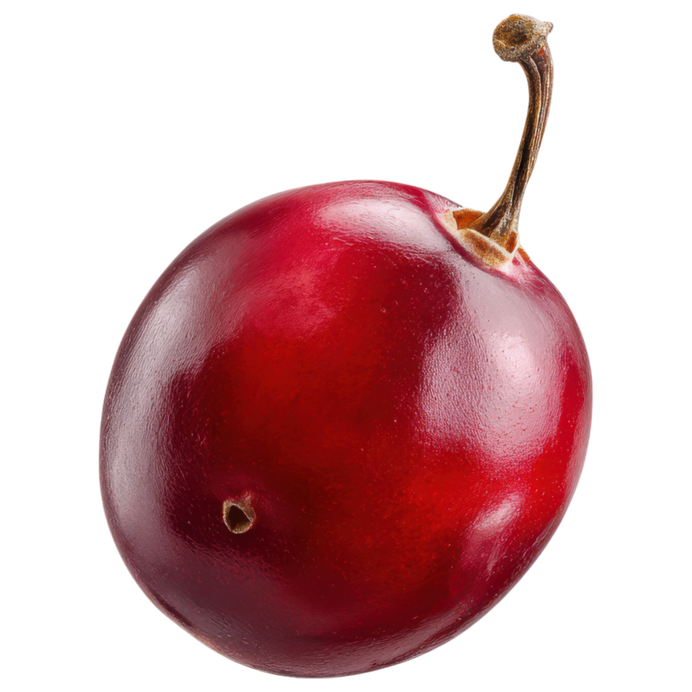 Fresh red fruit with shiny skin and stem isolated on transparency background png