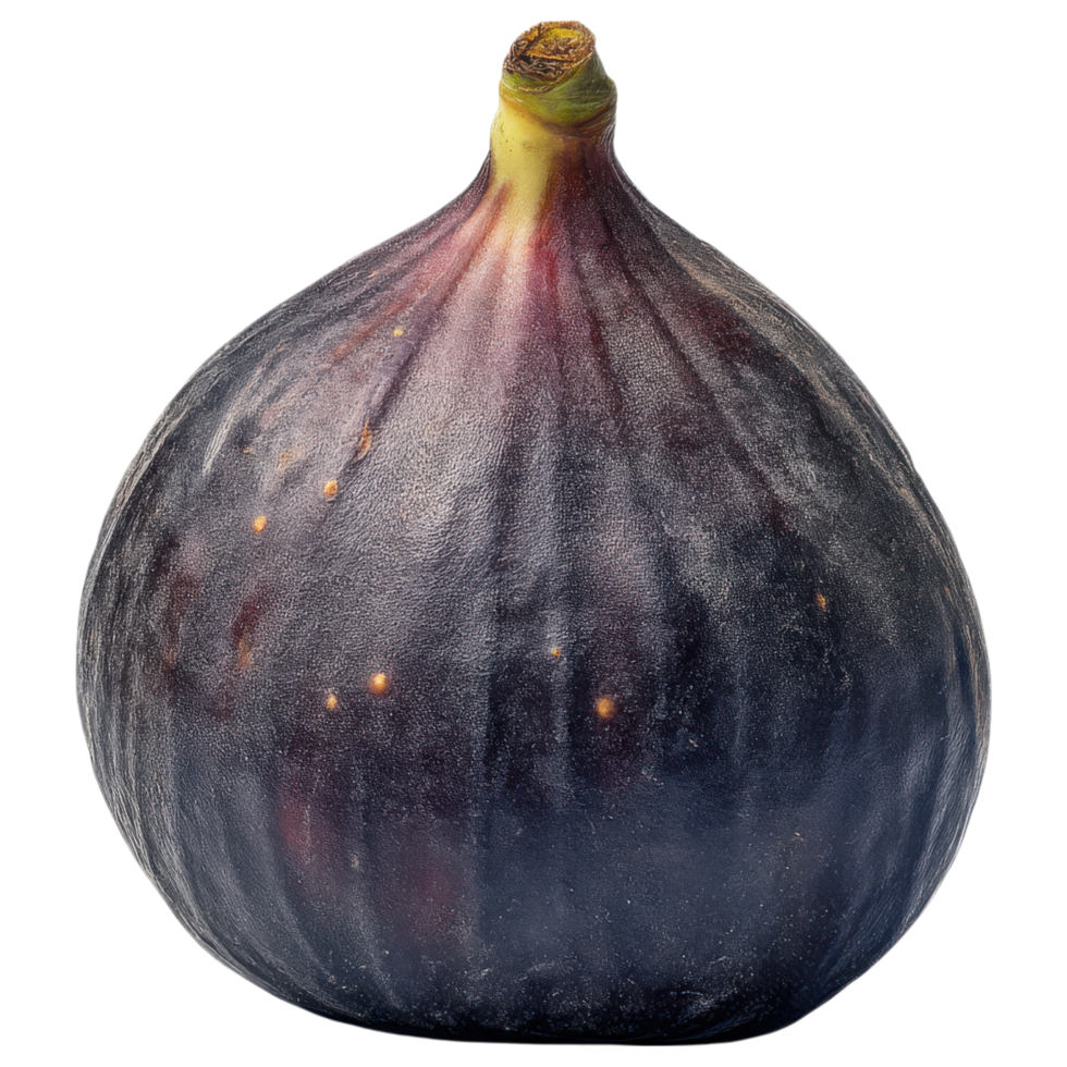 Fresh fig with rich color and smooth texture isolated on transparency background png