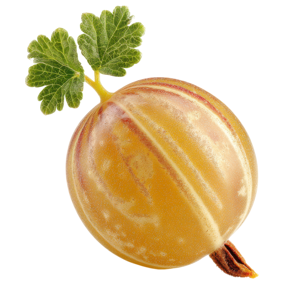 Golden gooseberry with green leaves, fresh and juicy isolated on transparency background png