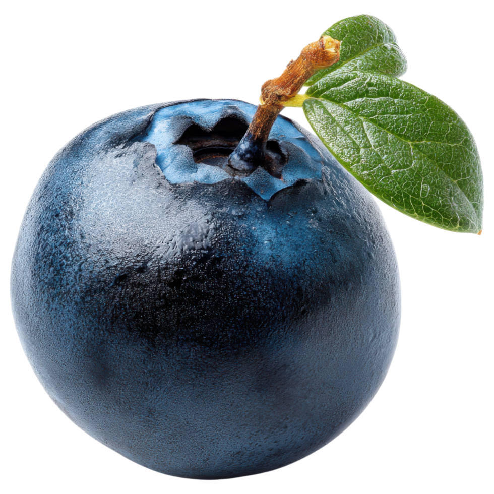 Fresh blueberry with vibrant color and green leaf isolated on transparency background png