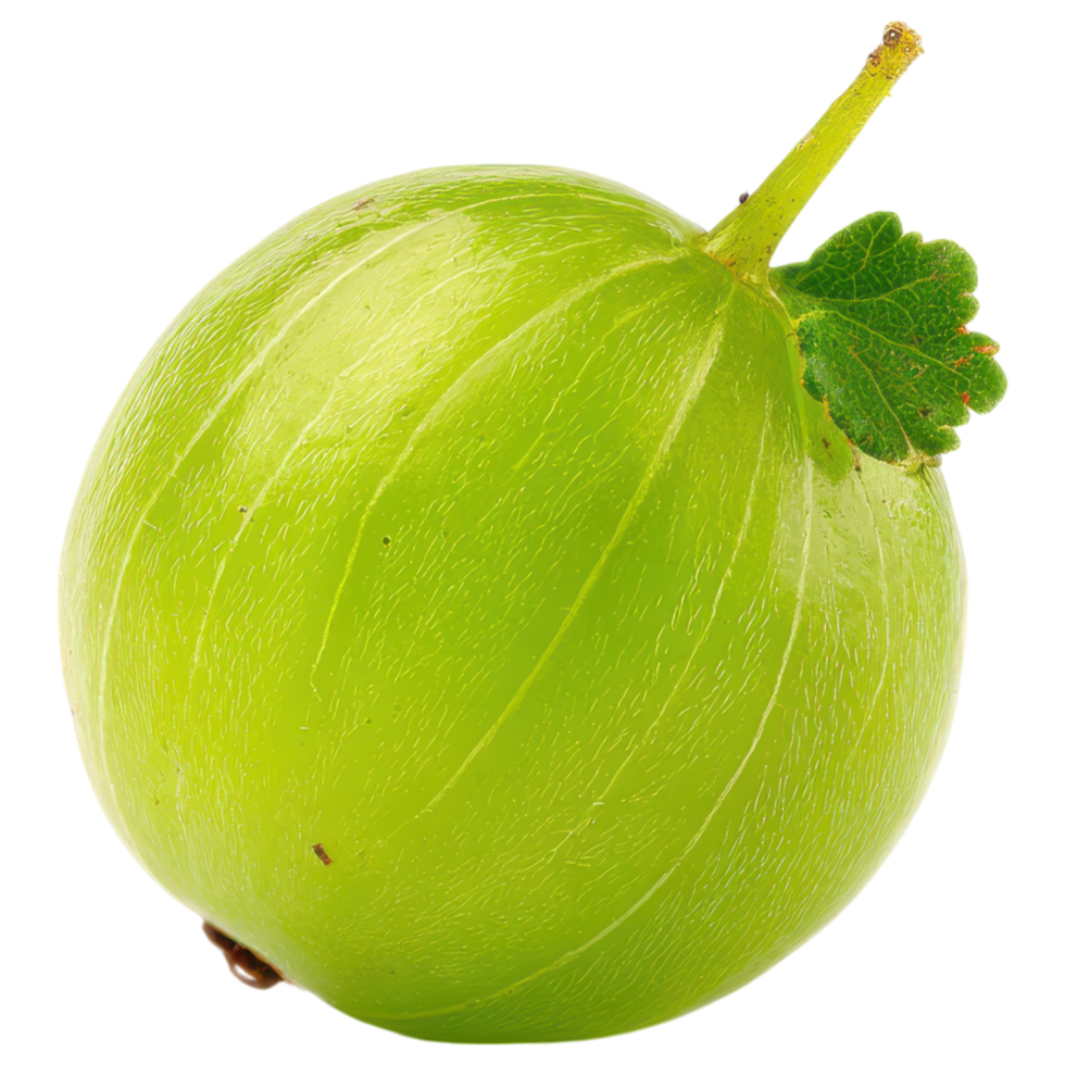 Fresh green gooseberry with vibrant color and texture isolated on transparency background png