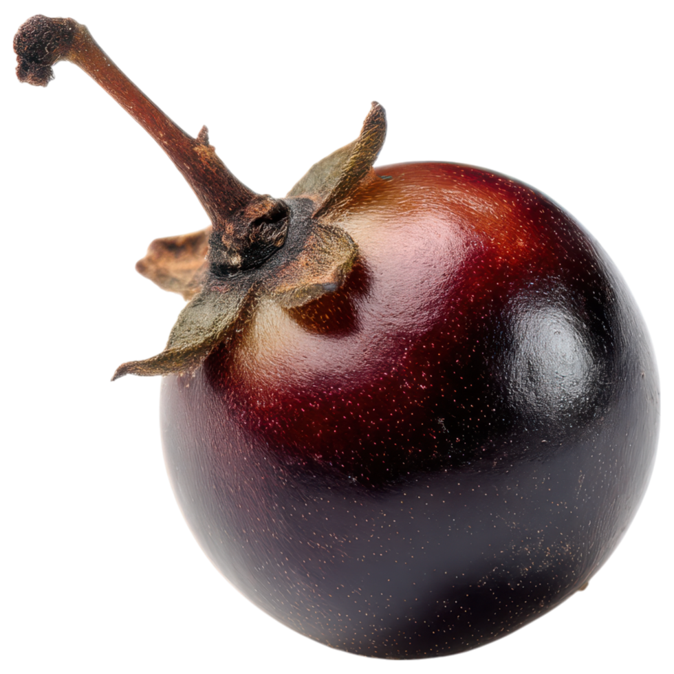 Shiny dark fruit with stem and leaf, showcasing its beauty. isolated on transparency background png