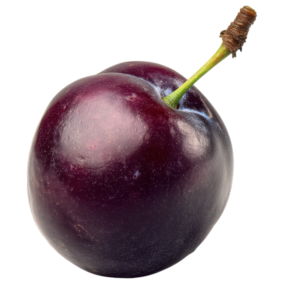 Fresh purple plum with shiny surface and green stem isolated on transparency background png