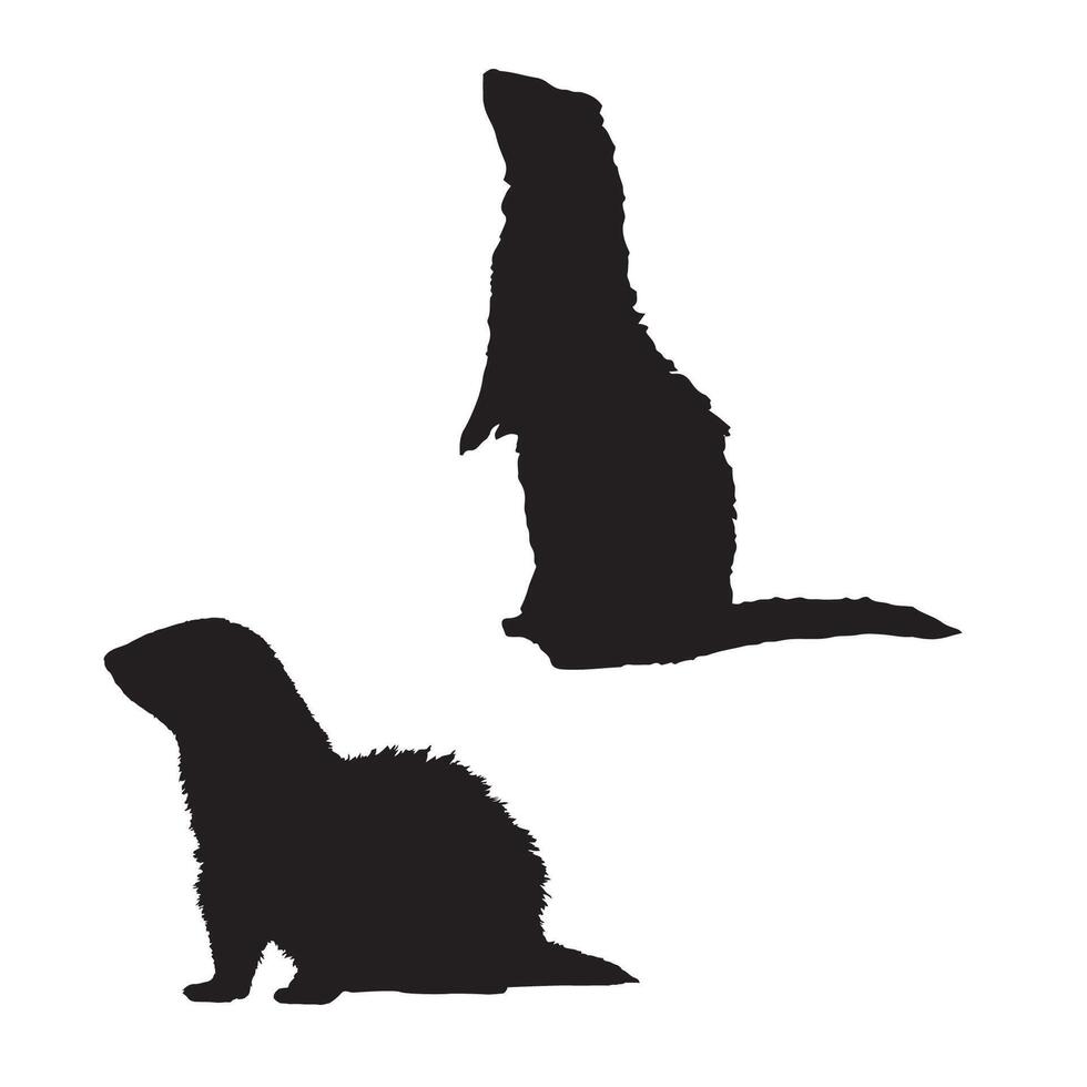 Ferret Silhouette Art bUNDLE vector