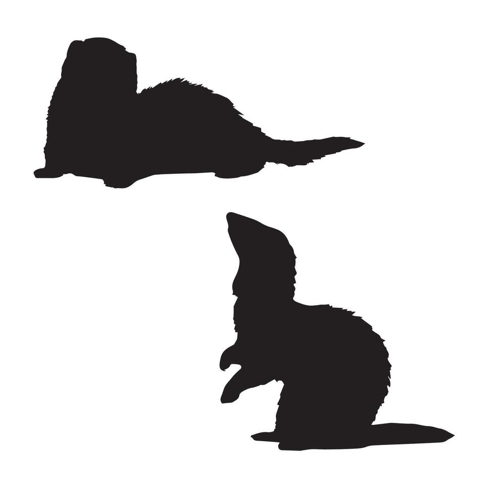 Set of Ferret Silhouette Illustration vector