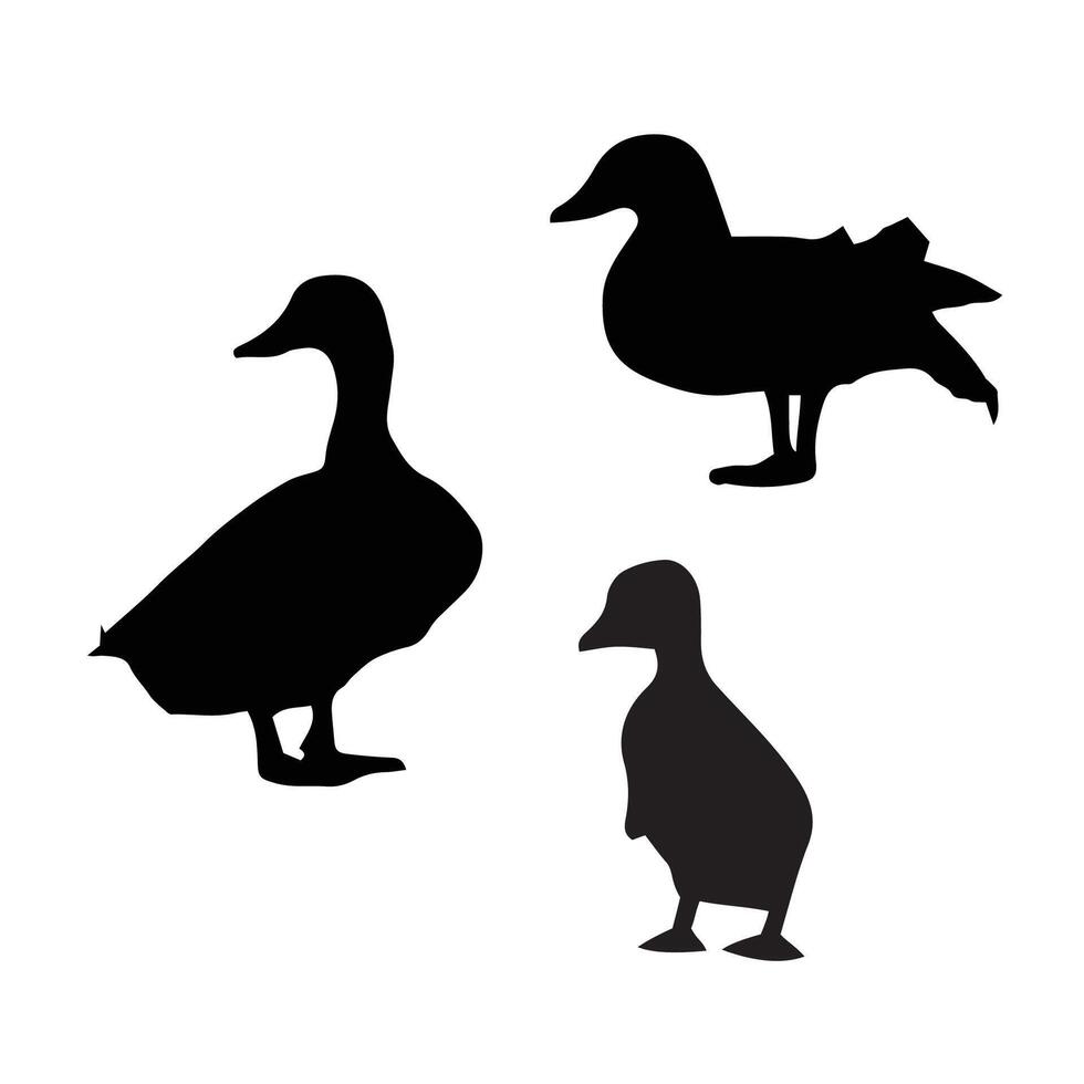 Ducks silhouette illustration vector