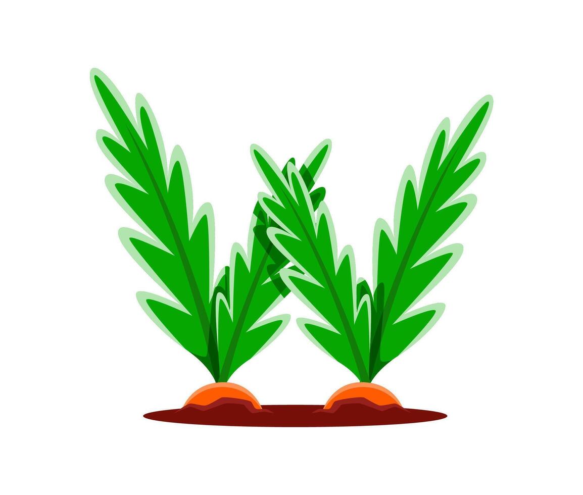 Farm font type, cartoon carrots in letter typeface vector