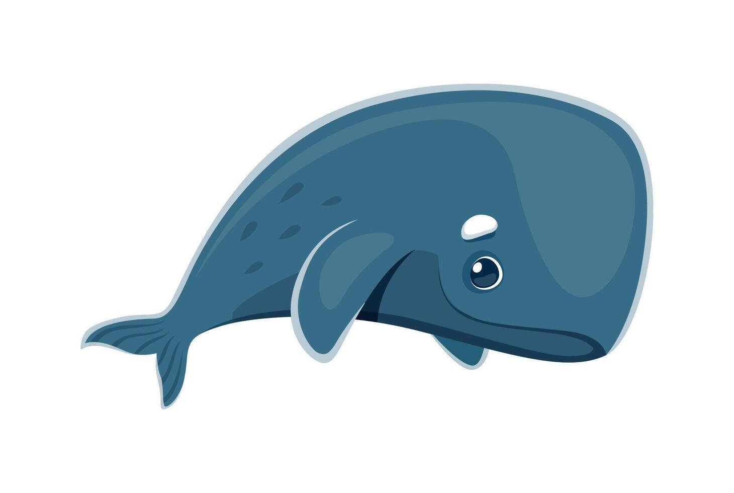 Cartoon whale character, sea underwater animal vector