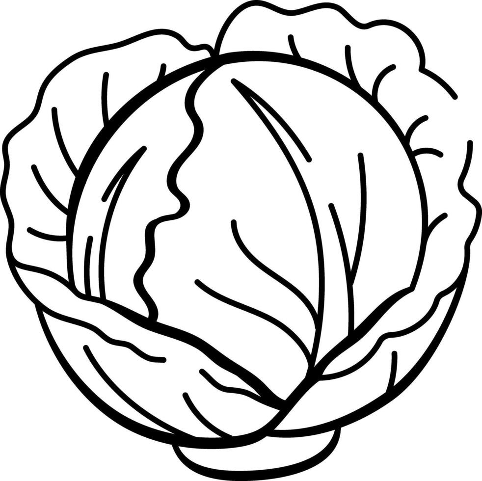 A hand drawn style icon of cabbage vector