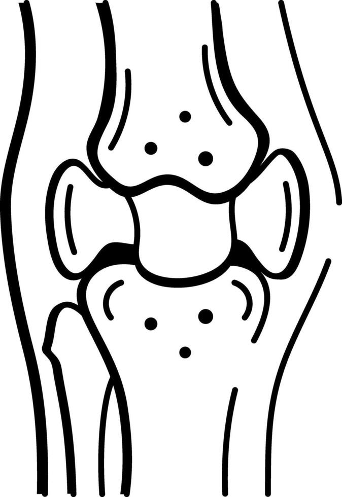 A sketchy style icon showing the knee joint anatomy vector