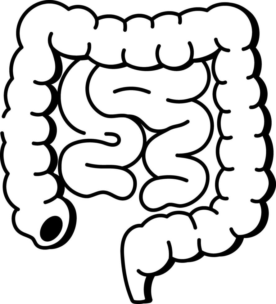 A doodle style icon showing the human intestines vector