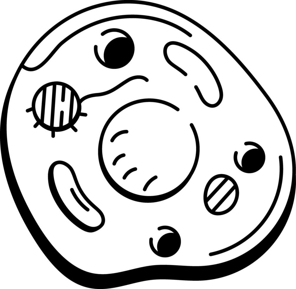 A hand drawn style icon representing animal cell structure vector
