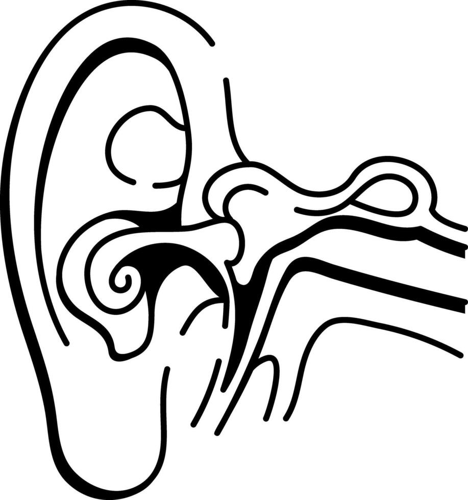 A hand drawn style icon illustrating ear anatomy structure vector