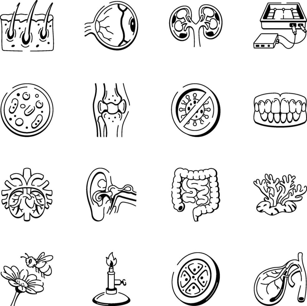 Collection of Medical and Biology Doodle Icons vector
