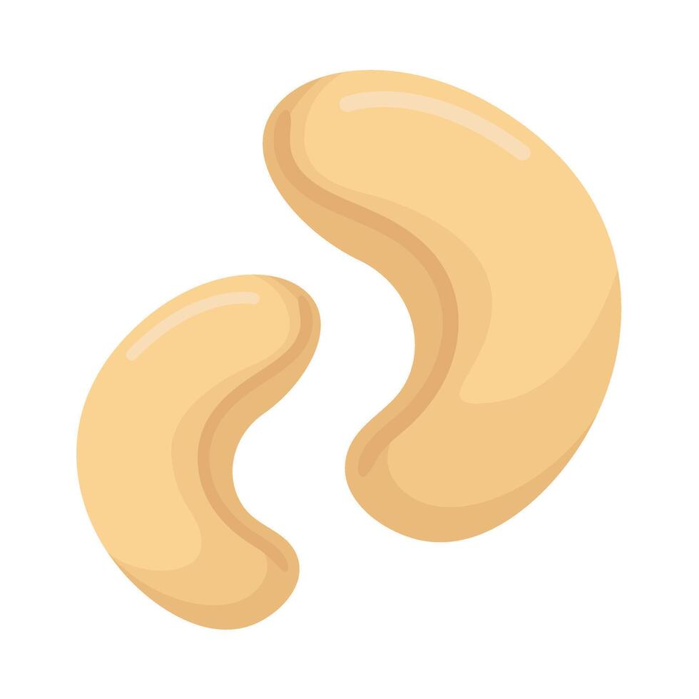 Cashew Nuts Healthy Cereal Food vector