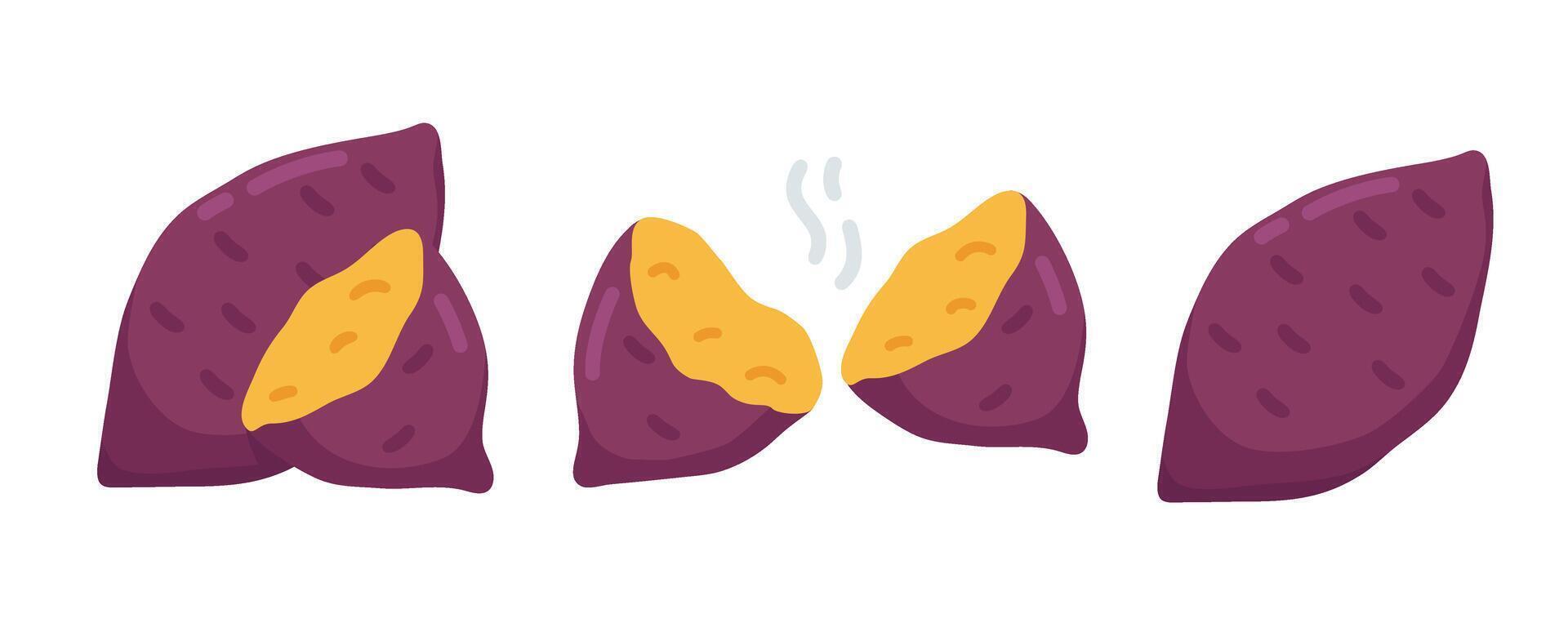 Delicious sweet potato halves revealing golden filling vector