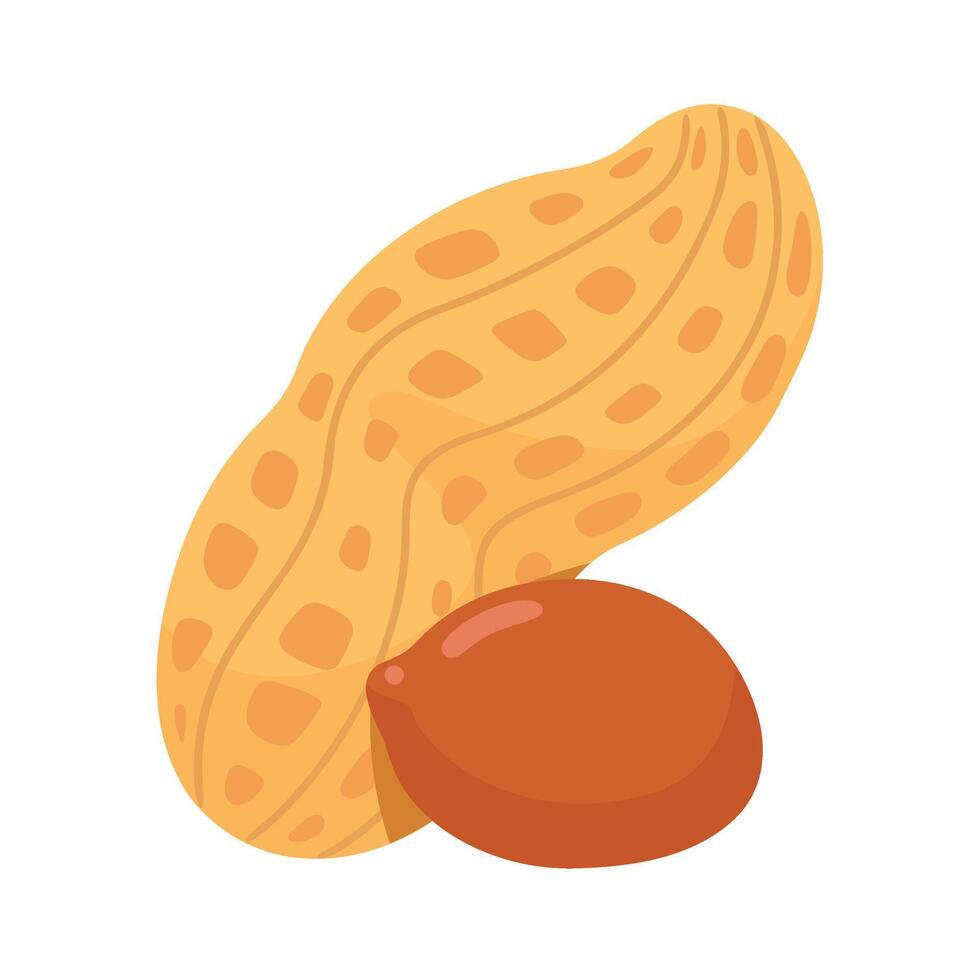 Peanut , a high-energy food for health lovers. vector