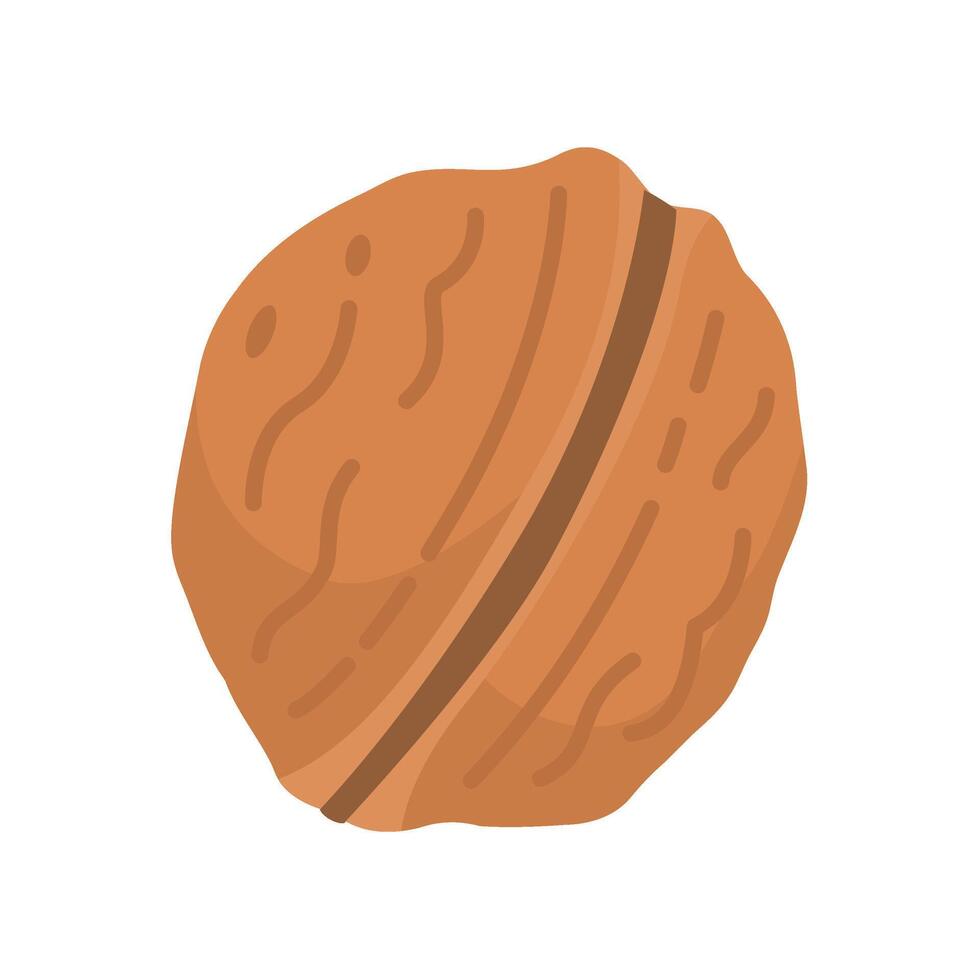 Walnut flat icon. Cartoon illustration of whole nut in shell vector