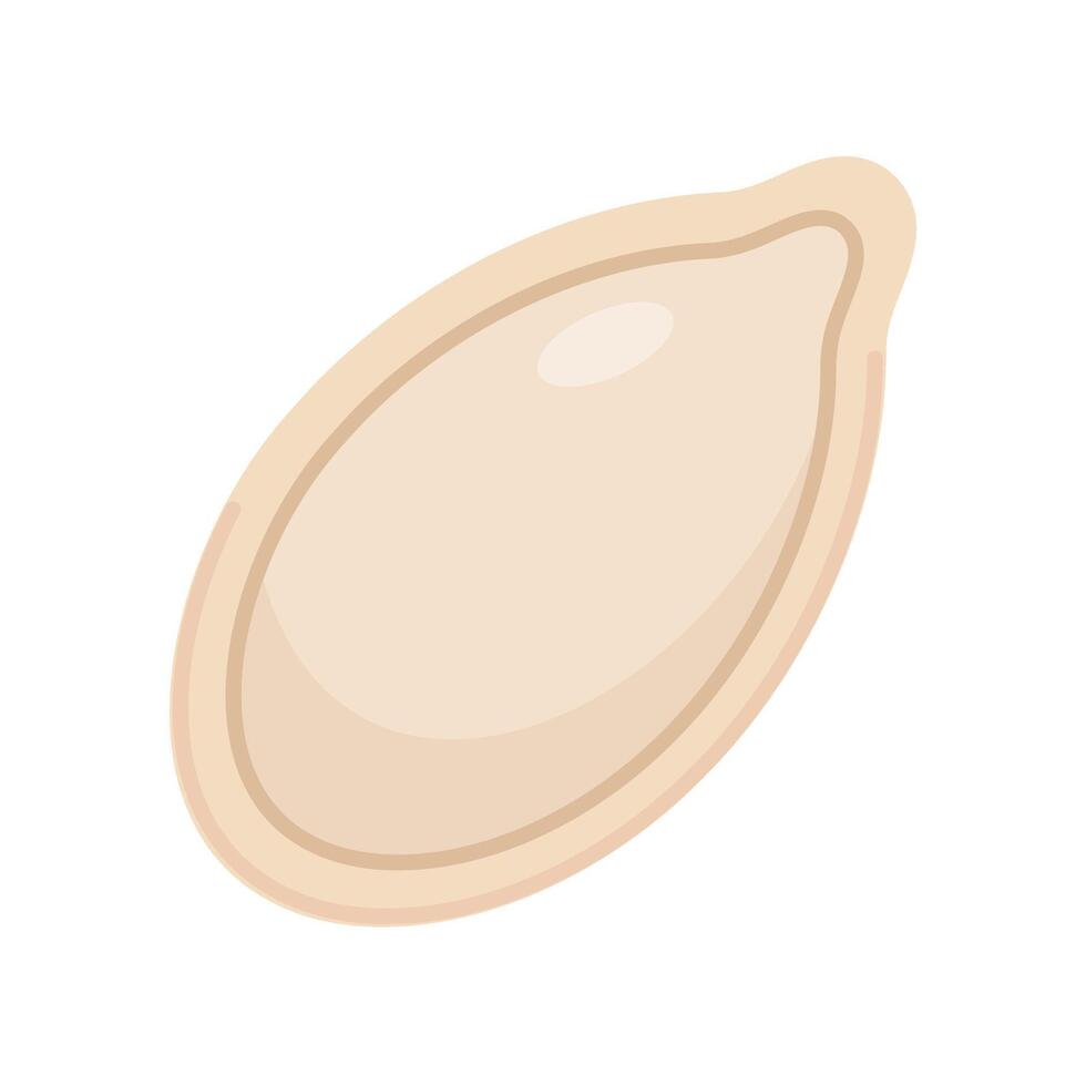 pumpkin seeds on white background vector