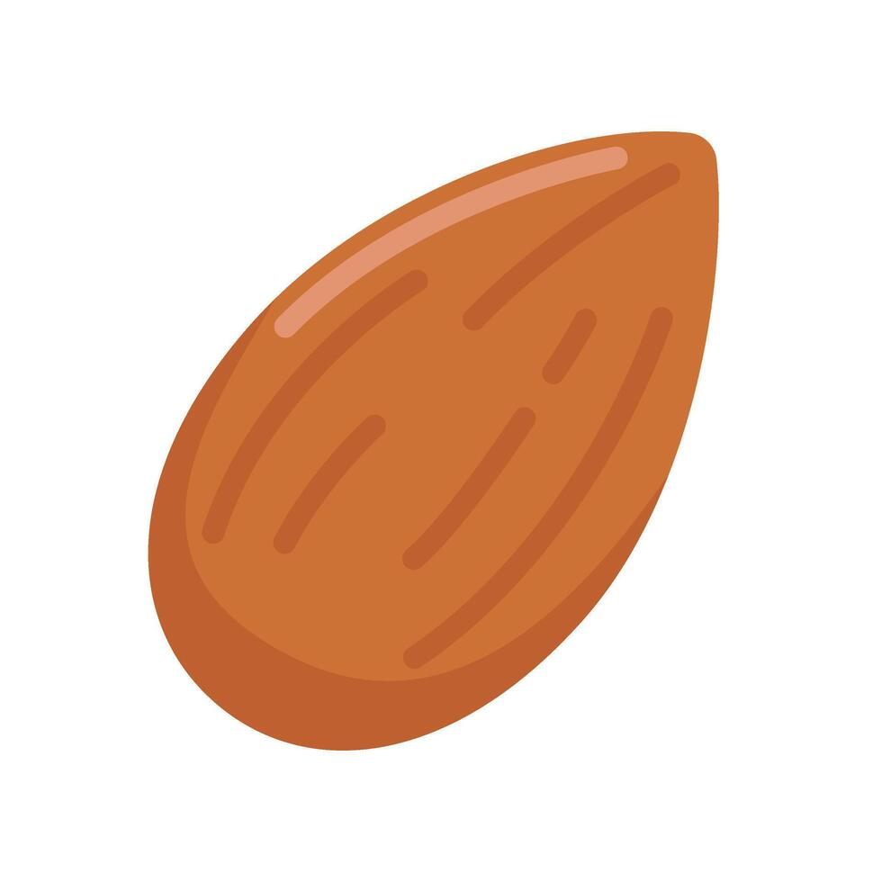 almond nut icon isolated on white background illustration vector