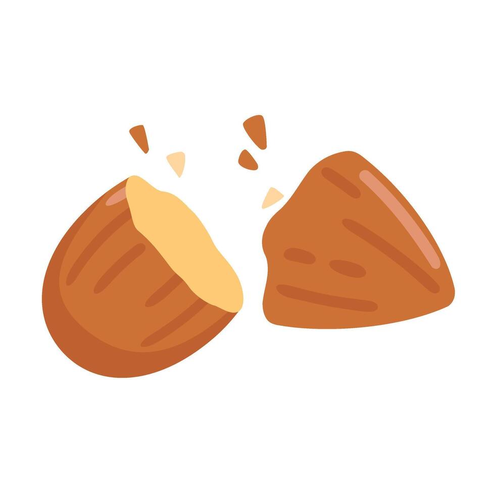 Almond Almond seeds are a high-energy food for health-conscious people. vector