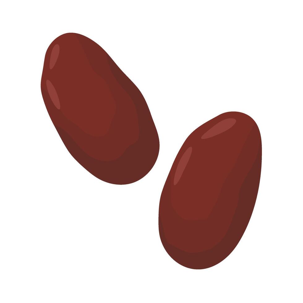 Cocoa fruit , an ingredient for making delicious chocolate. vector