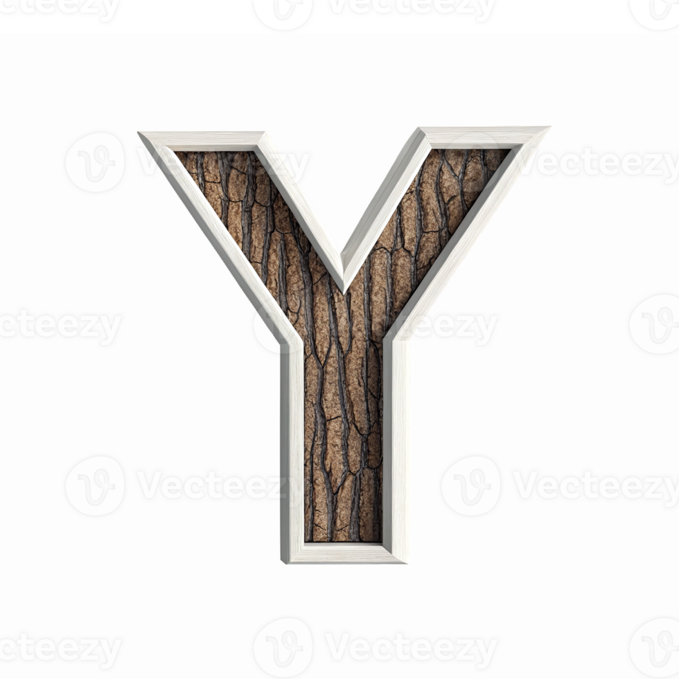 Stylized Letter Y with Natural Wood Texture and Elegant Border on Transparent Background png