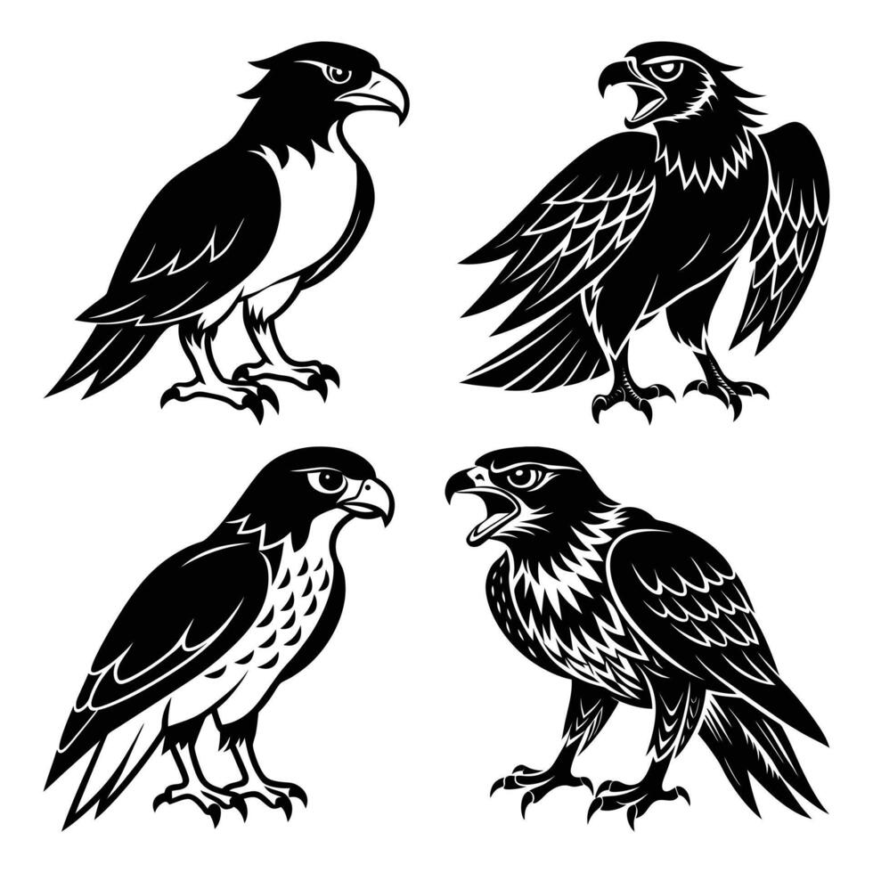 Set of Black and White Eagle and Hawk Illustrations Fierce Birds of Prey for Tattoo, Logo, and Design Projects vector