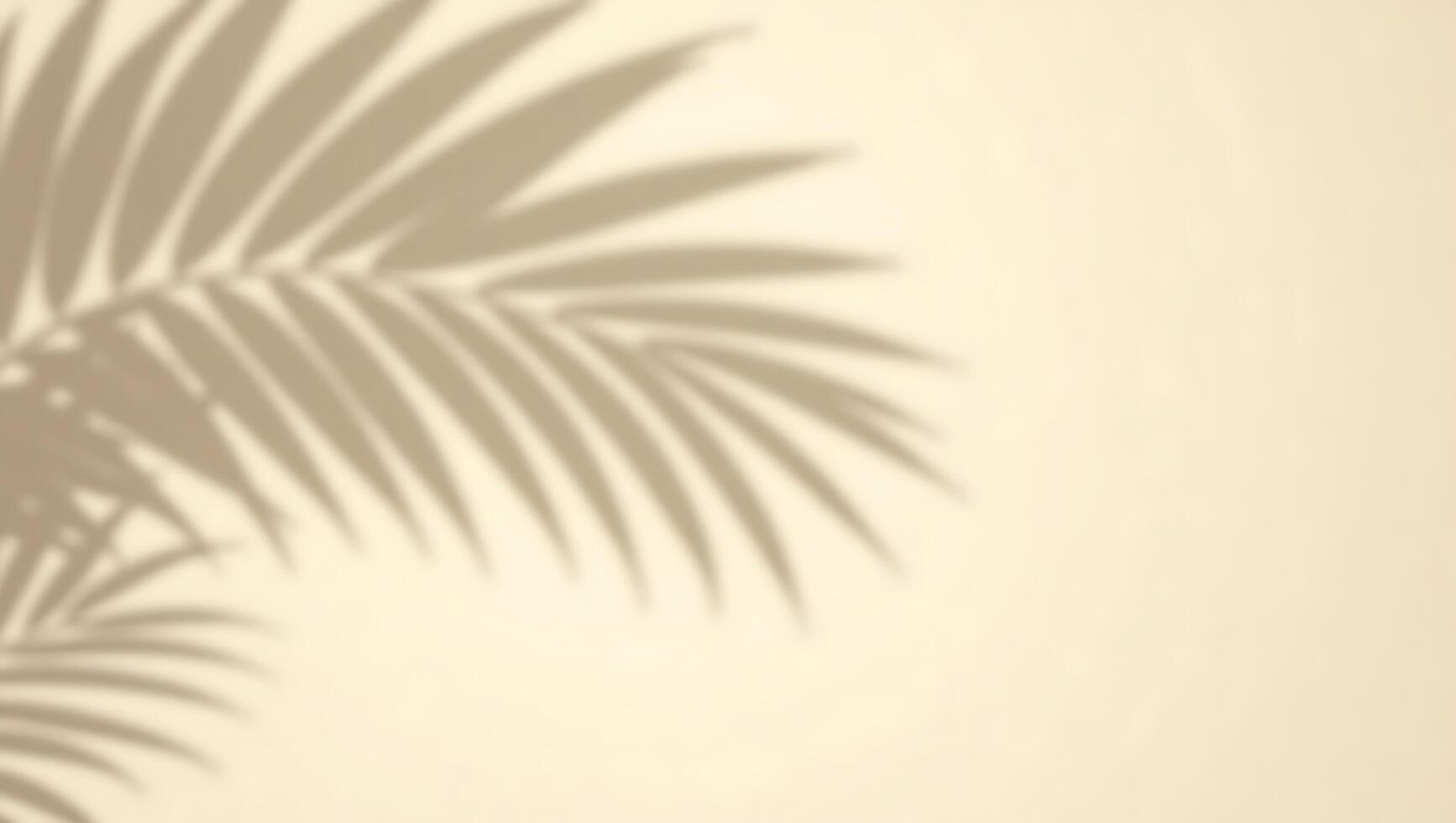 Palm Leaf Shadow Overlay Subtle Beige Background Texture photo
