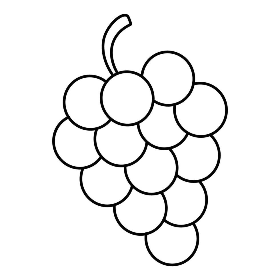 Bunch of Grapes coloring book vector