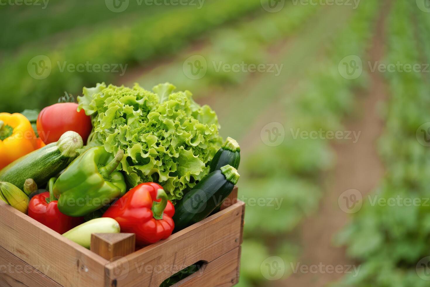 Fresh harvest of colorful vegetables in a wooden crate on a sunny farm day photo