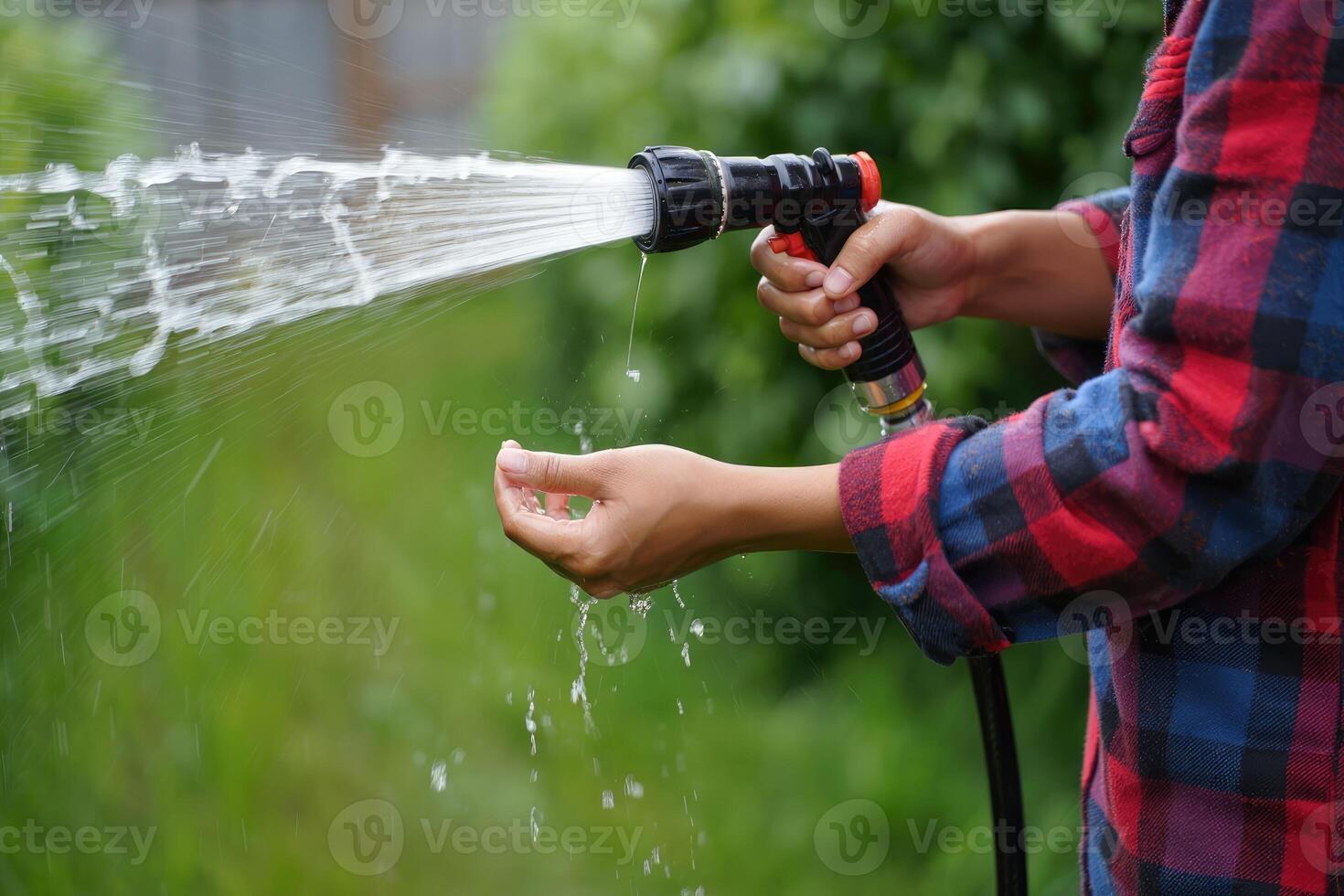 Watering plants with a garden hose in a lush green backyard during the afternoon photo