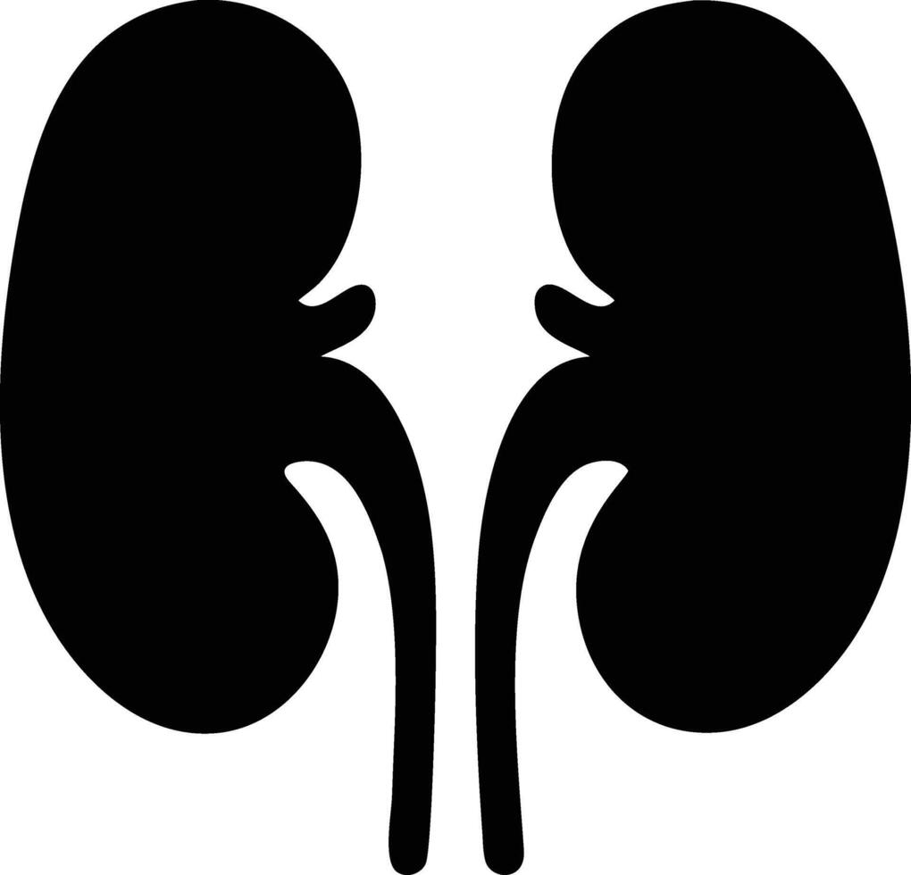 A black kidneys with smooth curves and minimal detail is presented vector