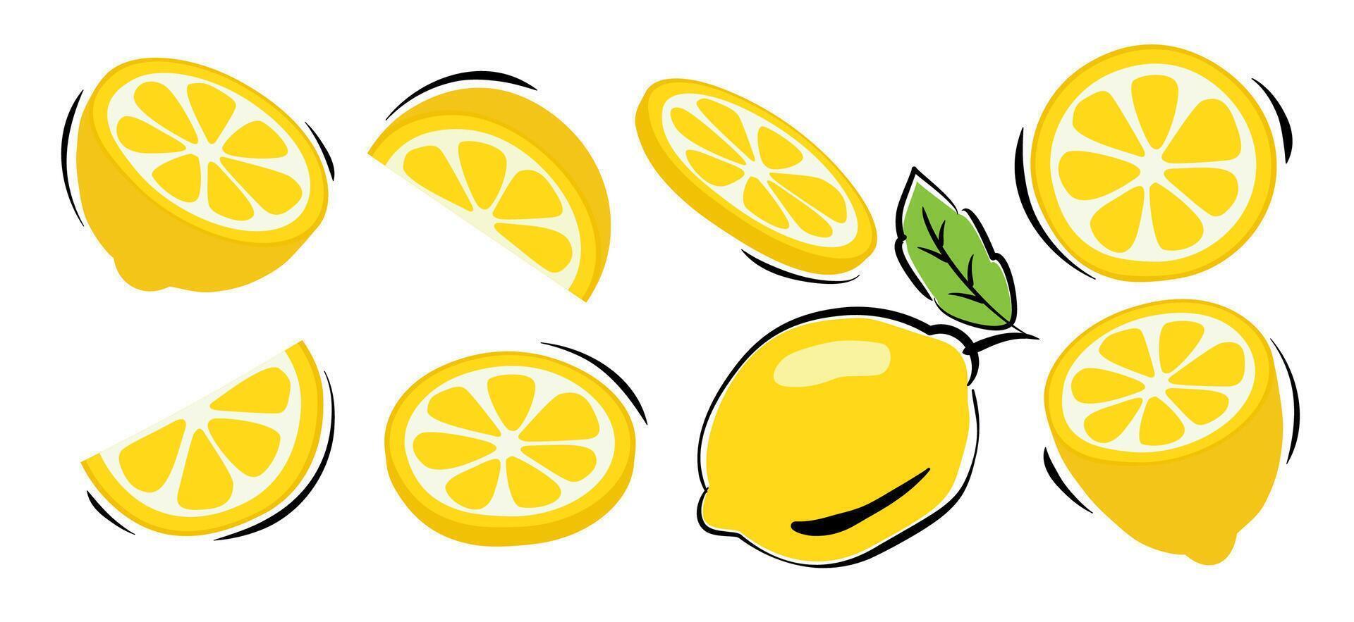 Lemonade slices cartoon set on white background. vector