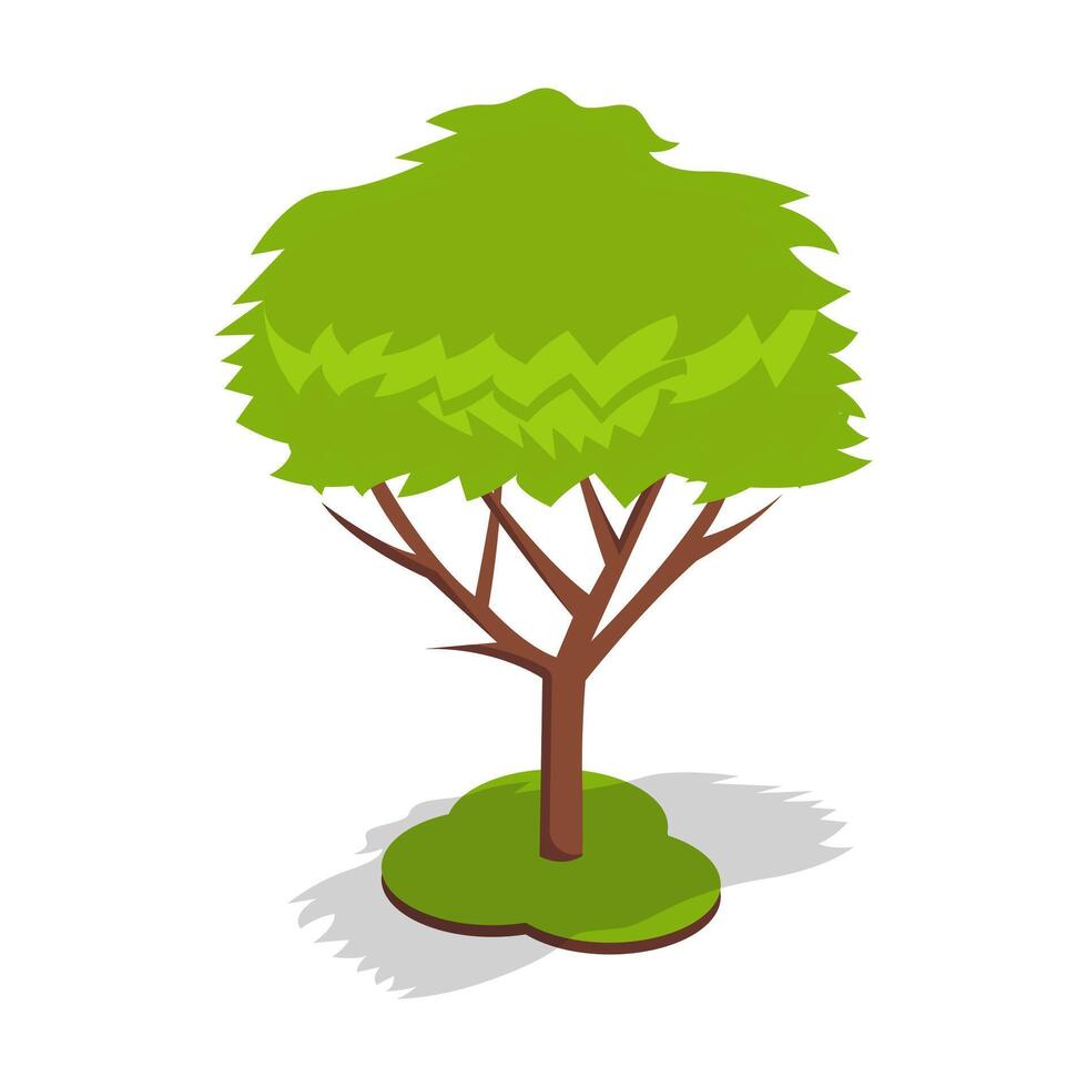 Green Tree with Thick Leaf Canopy vector