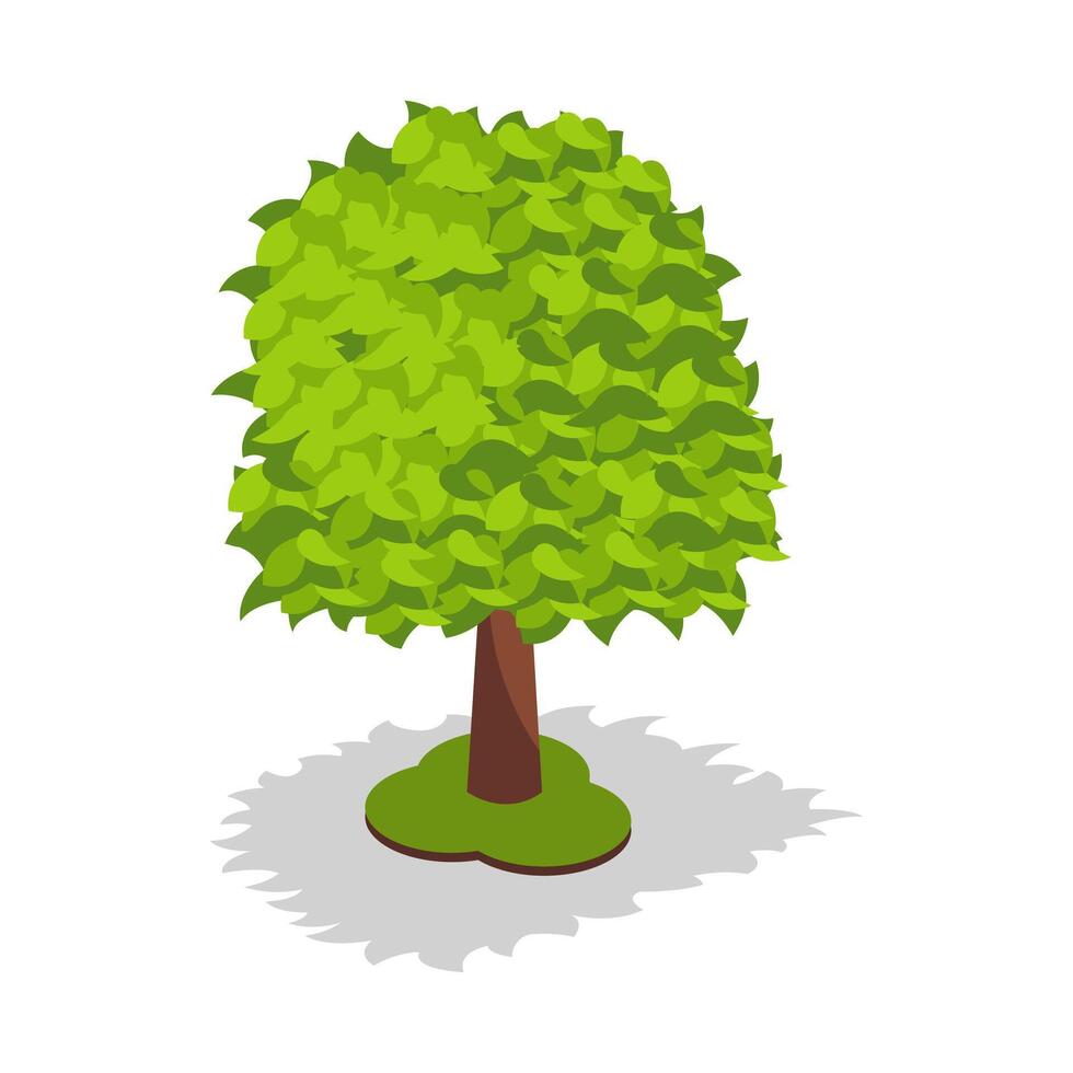 Green Tree with Full Green Leaf Canopy vector