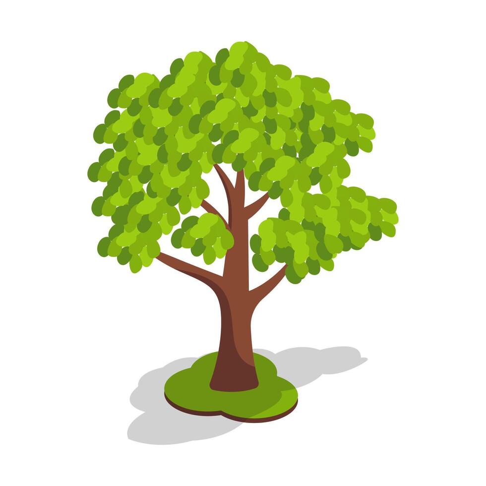 Green Tree with Lush Leafy Canopy vector