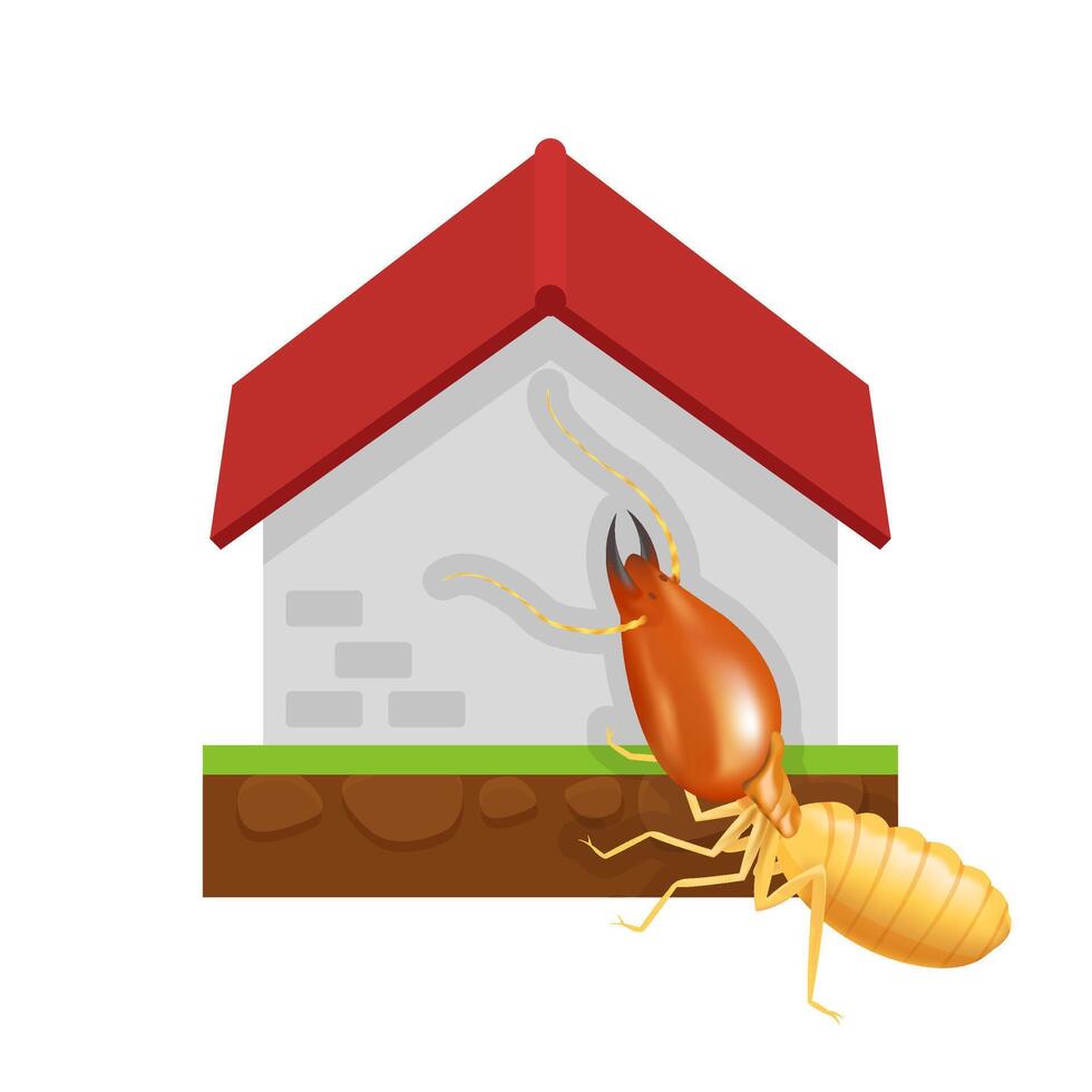 termite and cement house isolated on white background, icon insect species termite ant eaten cement home decay, symbol damaged cement house form termite eaten, cartoon termite clip art and home vector