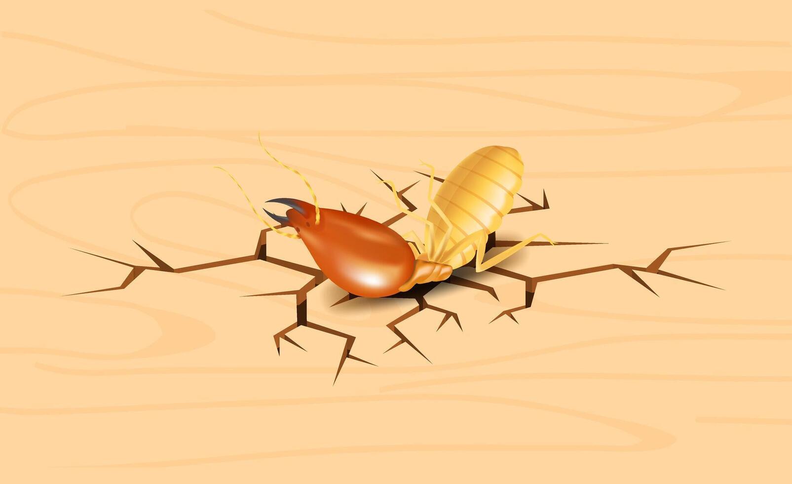 termite, dead termites on crack wood background, dead termite on wood texture with destruction and damage concept, termites over cracks in wooden wall surface, termite on the cracked wood hole vector