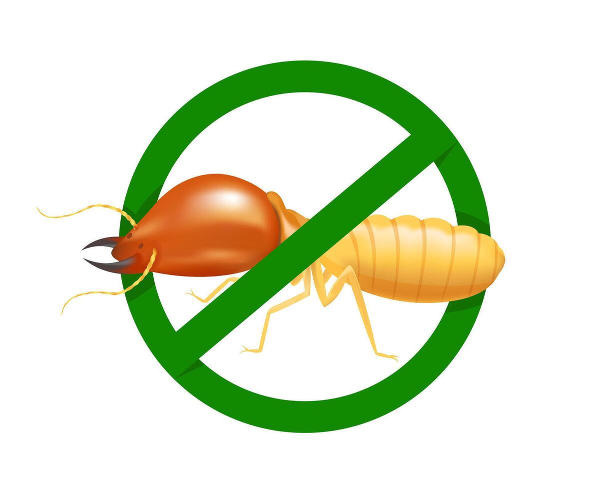 termite in prohibited green circle sign isolated on white background, logo insects termite, termite prohibition symbol for flat icons info graphic, illustration termites icon chemical spray products vector