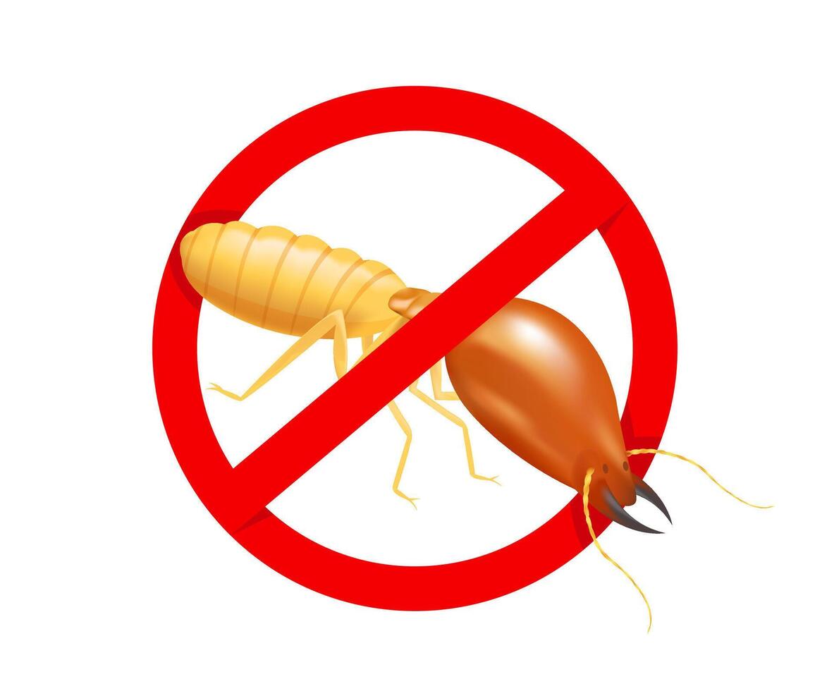 termite in prohibited red circle sign isolated on white background, logo insects termite, termite prohibition symbol for flat icons info graphic, illustration termites icon for chemical spray product vector