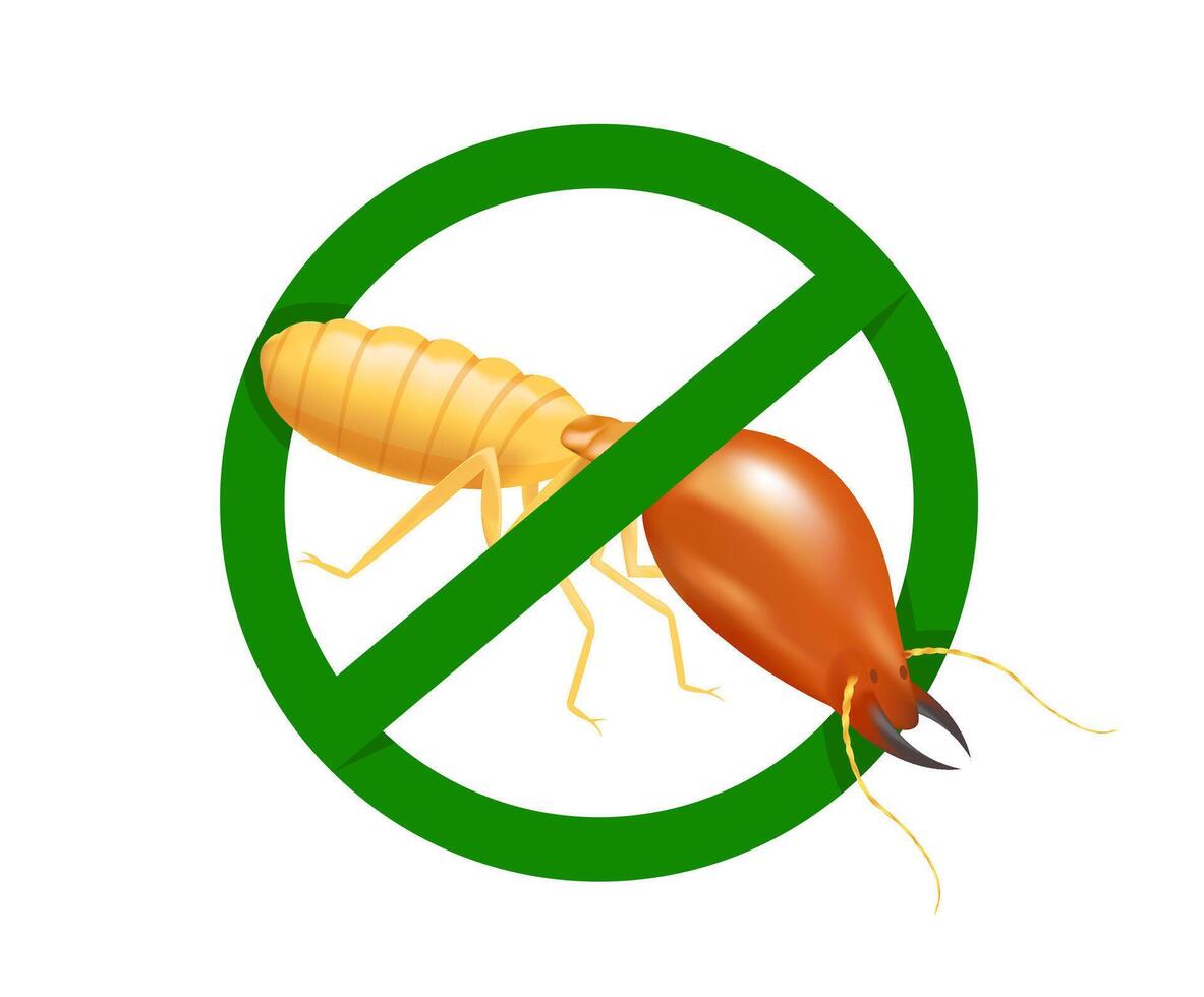 termite in prohibited green circle sign isolated on white background, logo insects termite, termite prohibition symbol for flat icons graphic, illustration termites icon chemical spray products vector
