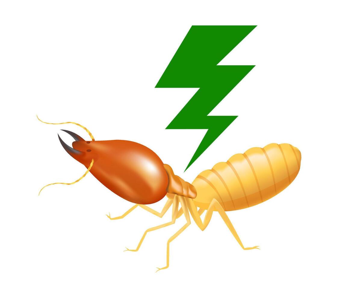 termite with thunder symbol green isolated on white background, logo insects termite and thunder flash, termite thunder symbol for flat icons info graphic, termites icon for chemical spray products vector