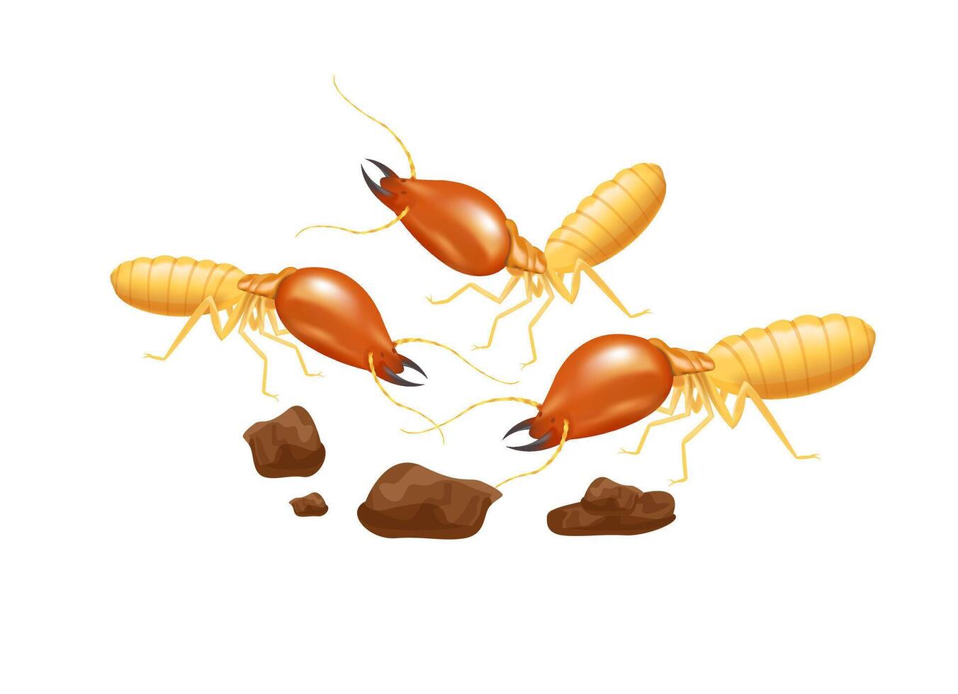 termites isolated on white background, insect species termite ant eaten wood decay and damaged wooden bite, cartoon termite clip art, animal type termite or white ants vector
