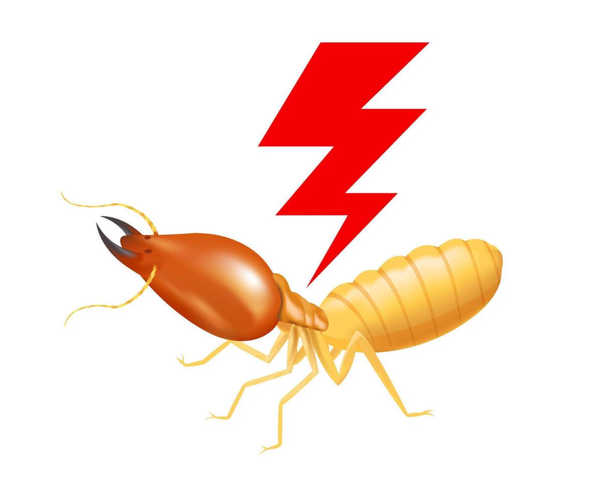 termite with thunder symbol red isolated on white background, logo insects termite and thunder flash, termite thunder symbol for flat icons info graphic, termites icon for chemical spray products vector