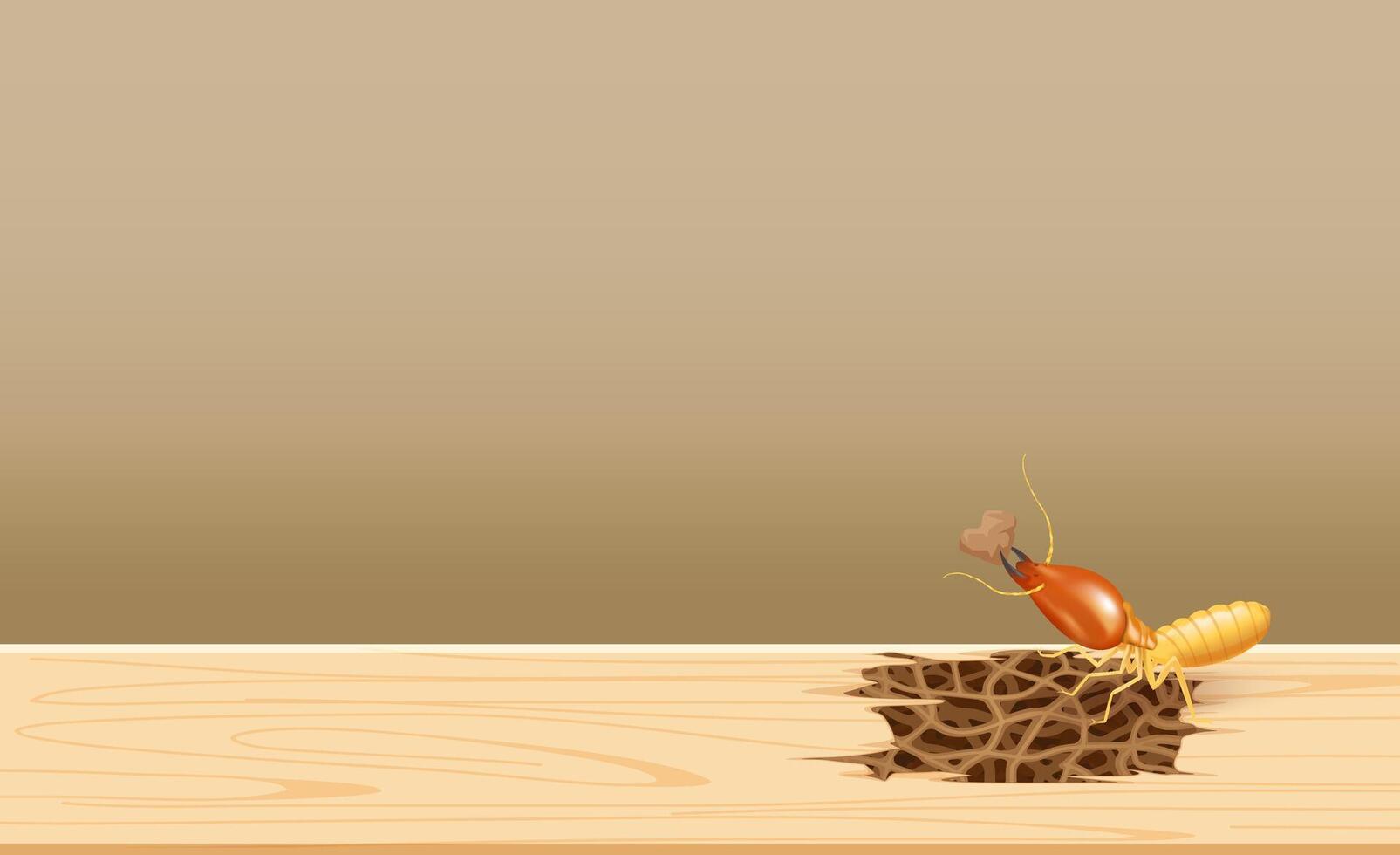 termites at wood, termite nest at wooden wall, nest termite at wood decay the door sill architrave, nest termite background and copy space, damaged wooden window door by eaten termite or white ant vector