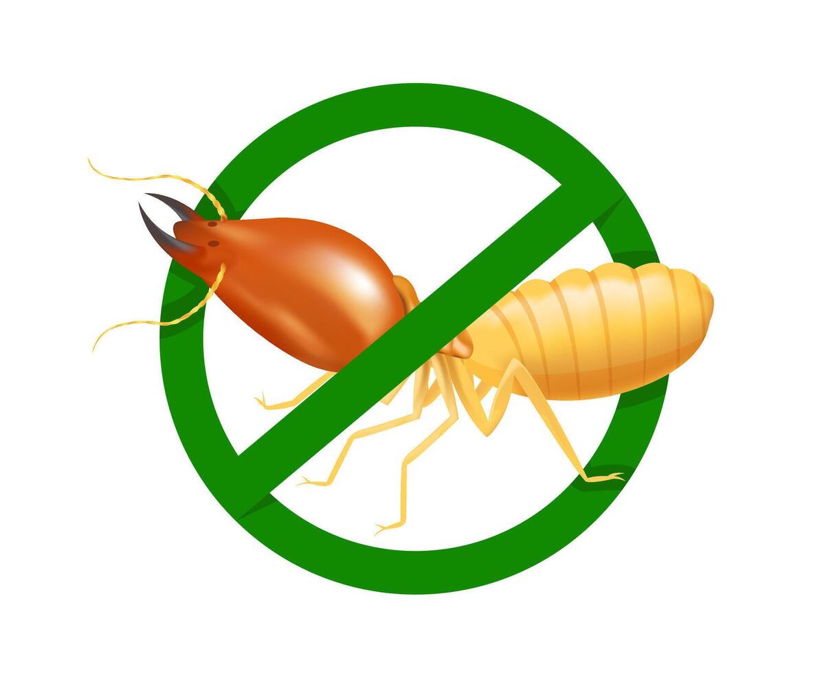 termite in prohibited green circle sign isolated on white background, logo insects termite, termite prohibition symbol for flat icons info graphic, illustration termites icon chemical spray product vector