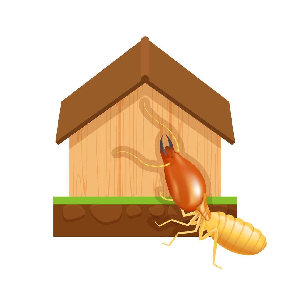 termite and wood house isolated on white background, icon insect species termite ant eaten wood home decay, symbol damaged wooden house form termite eaten, cartoon termite clip art and home vector