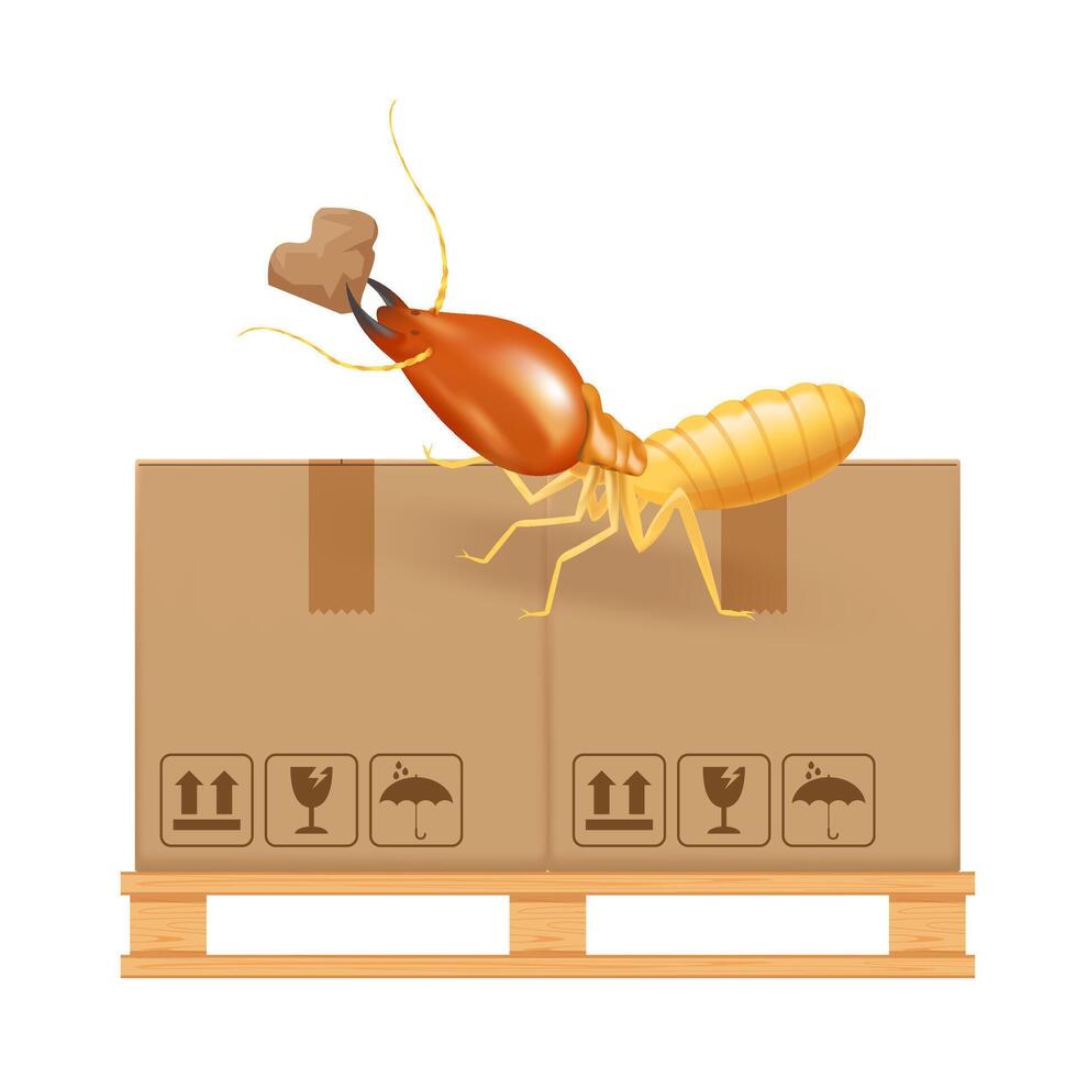 termite bites eat paper boxes brown isolated on white background, termites and wood pallet with cardboard boxes in factory warehouse, termites walking on corrugated case vector