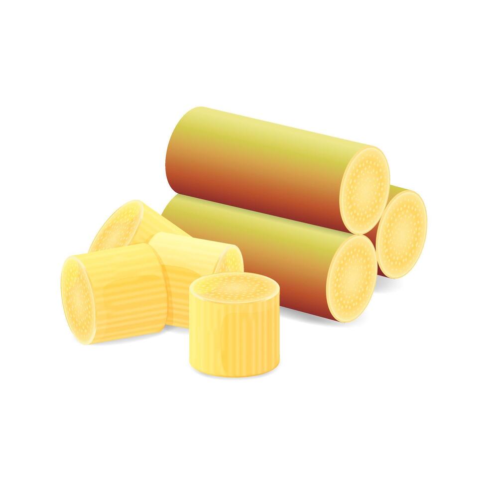 Sugar Cane, Cane, Pieces of Fresh Sugarcane, Sugar Cane Cut Isolated on White vector